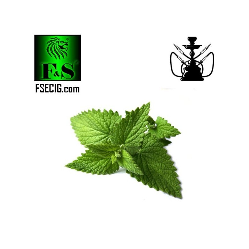 Fresh Mint Inawera Shisha Flavour Concentrate (10ml)