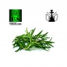 Rosemary flavour concentrate - Inawera Shisha