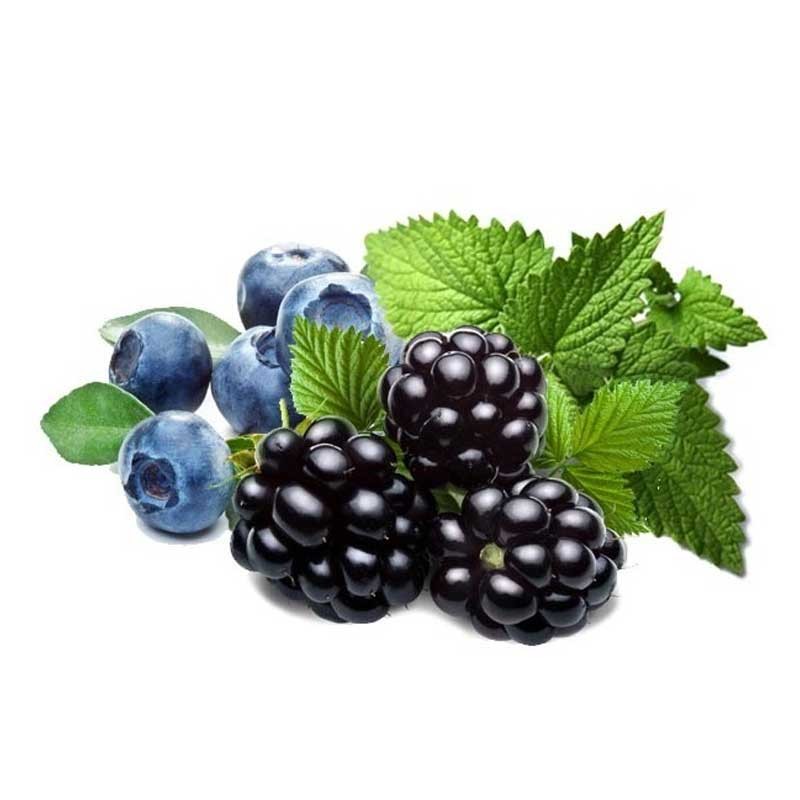 Black Fruit Mint flavour concentrate - Inawera