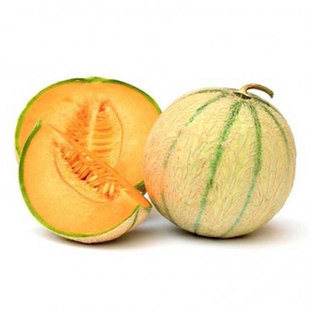 Melon flavour concentrate - Inawera