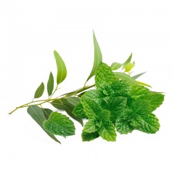 Mint and Eucalyptus flavour concentrate - Inawera