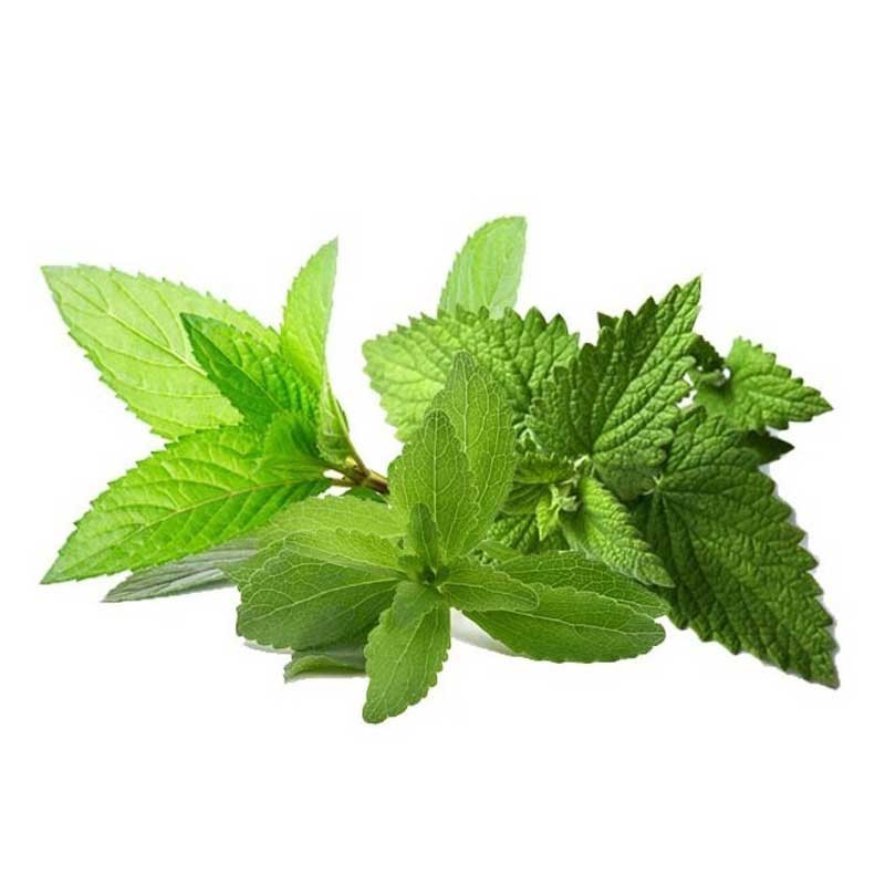 Mix Mint flavour concentrate - Inawera