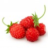 Wild Strawberry flavour concentrate - Inawera