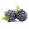 Blackberry flavour concentrate - Capella