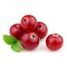 Cranberry flavour concentrate - Capella