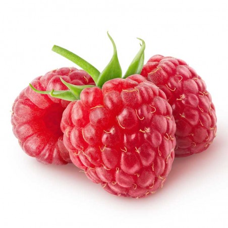 Raspberry flavour concentrate - Capella