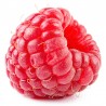 Raspberry v2 flavour concentrate - Capella