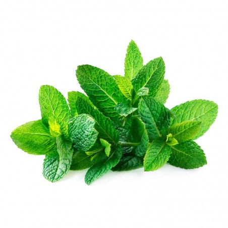 Spearmint flavour concentrate - Capella Spearmint flavour concentrate - Capella