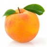 Yellow Peach flavour concentrate - Capella