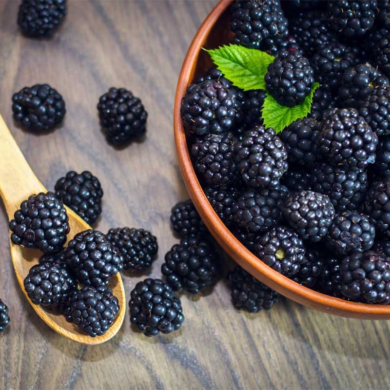 Blackberry concentrate TFA - The Flavor Apprentice Blackberry concentrate TFA - The Flavor Apprentice
