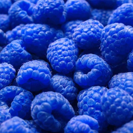 Blue Raspberry concentrate TFA - The Flavor Apprentice