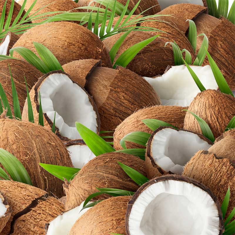 Coconut concentrate TFA - The Flavor Apprentice