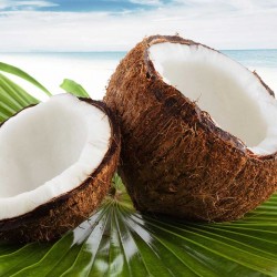 Coconut Extra concentrate TFA - The Flavor Apprentice