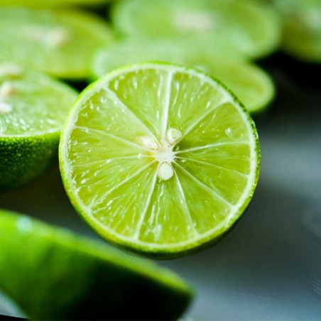 Key Lime concentrate TFA - The Flavor Apprentice Key Lime concentrate TFA - The Flavor Apprentice