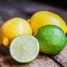 Lemon Lime concentrate TFA - The Flavor Apprentice