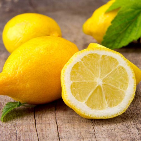 Lemon v2 concentrate TFA - The Flavor Apprentice