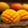 Mango concentrate TFA - The Flavor Apprentice