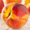 Peach Juicy DX concentrate TFA - The Flavor Apprentice