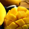 Philippine Mango concentrate TFA - The Flavor Apprentice
