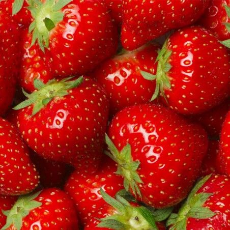 Strawberry Ripe concentrate TFA - The Flavor Apprentice